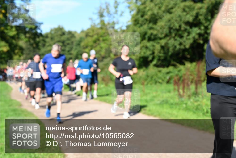 27.09.2026 - 35. Volkslauf durch das schöne Alstertal Dr. Thomas Lammeyer http://msf.ph/oto/10565082 27.09.2026 10:36:51 Laufen  meine-sportfotos.de
