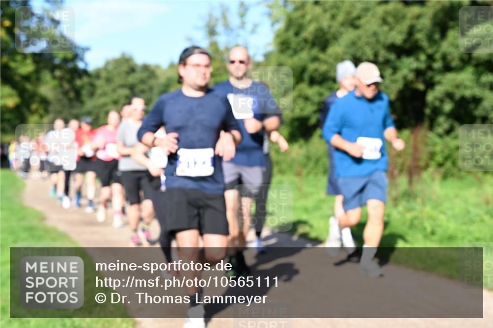 27.09.2026 - 35. Volkslauf durch das schöne Alstertal Dr. Thomas Lammeyer http://msf.ph/oto/10565111 27.09.2026 10:36:55 Laufen  meine-sportfotos.de