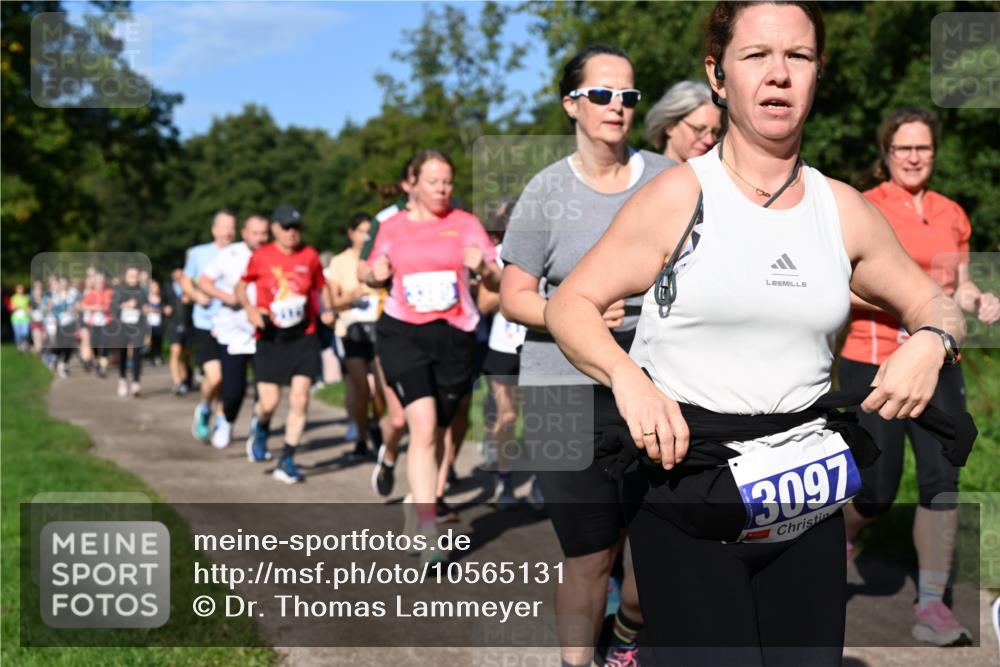 27.09.2026 - 35. Volkslauf durch das schöne Alstertal Dr. Thomas Lammeyer http://msf.ph/oto/10565131 27.09.2026 10:36:57 Laufen 3097 meine-sportfotos.de