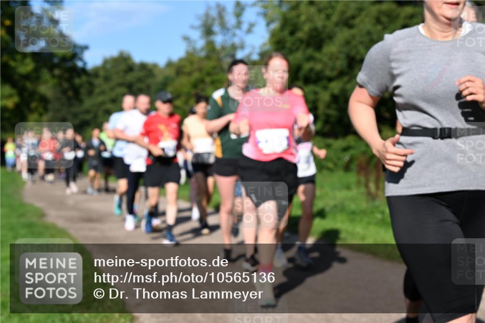 27.09.2026 - 35. Volkslauf durch das schöne Alstertal Dr. Thomas Lammeyer http://msf.ph/oto/10565136 27.09.2026 10:36:58 Laufen  meine-sportfotos.de