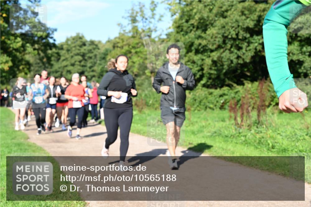 27.09.2026 - 35. Volkslauf durch das schöne Alstertal Dr. Thomas Lammeyer http://msf.ph/oto/10565188 27.09.2026 10:37:04 Laufen  meine-sportfotos.de