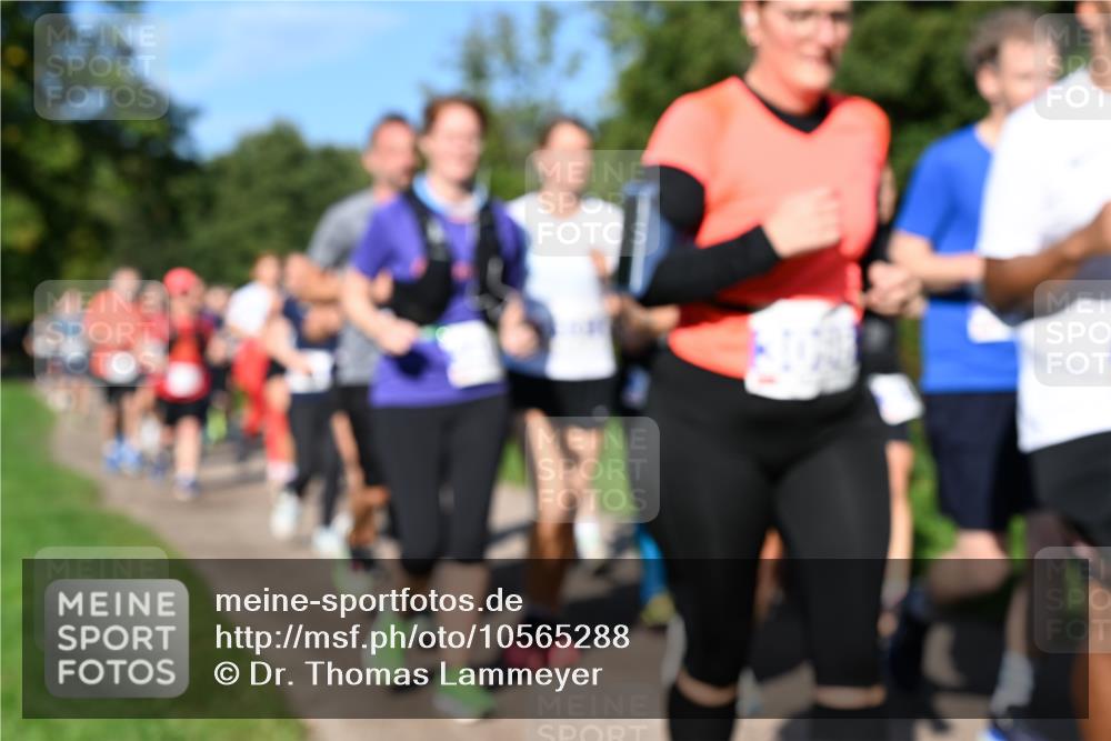 27.09.2026 - 35. Volkslauf durch das schöne Alstertal Dr. Thomas Lammeyer http://msf.ph/oto/10565288 27.09.2026 10:37:15 Laufen  meine-sportfotos.de
