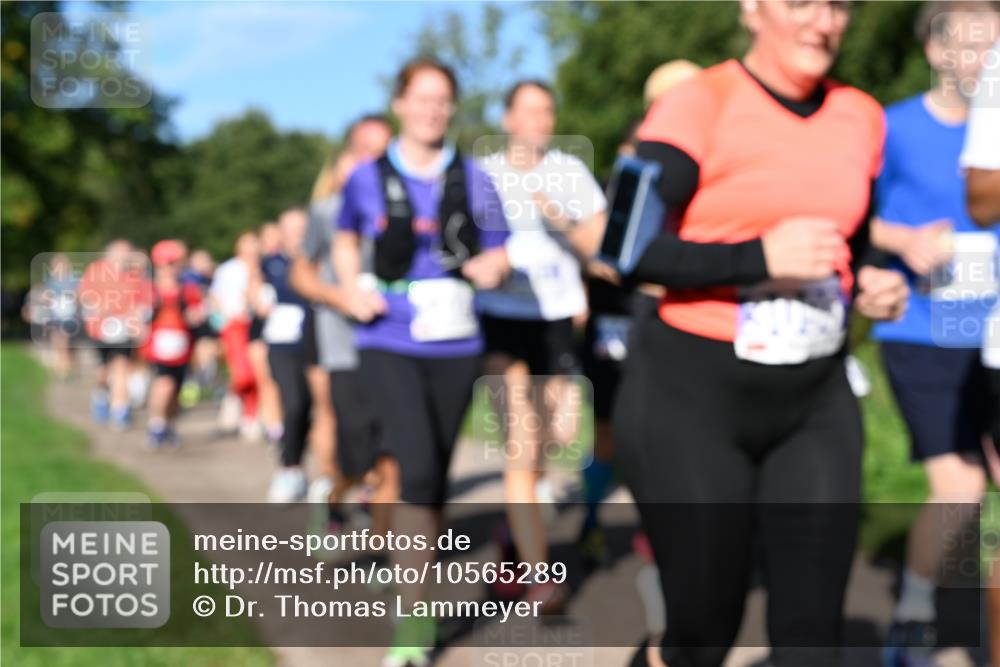 27.09.2026 - 35. Volkslauf durch das schöne Alstertal Dr. Thomas Lammeyer http://msf.ph/oto/10565289 27.09.2026 10:37:16 Laufen  meine-sportfotos.de