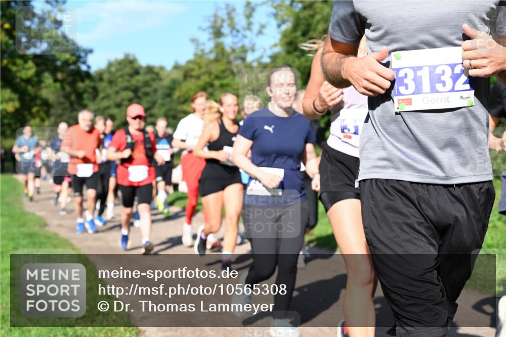27.09.2026 - 35. Volkslauf durch das schöne Alstertal Dr. Thomas Lammeyer http://msf.ph/oto/10565308 27.09.2026 10:37:18 Laufen 3132 meine-sportfotos.de