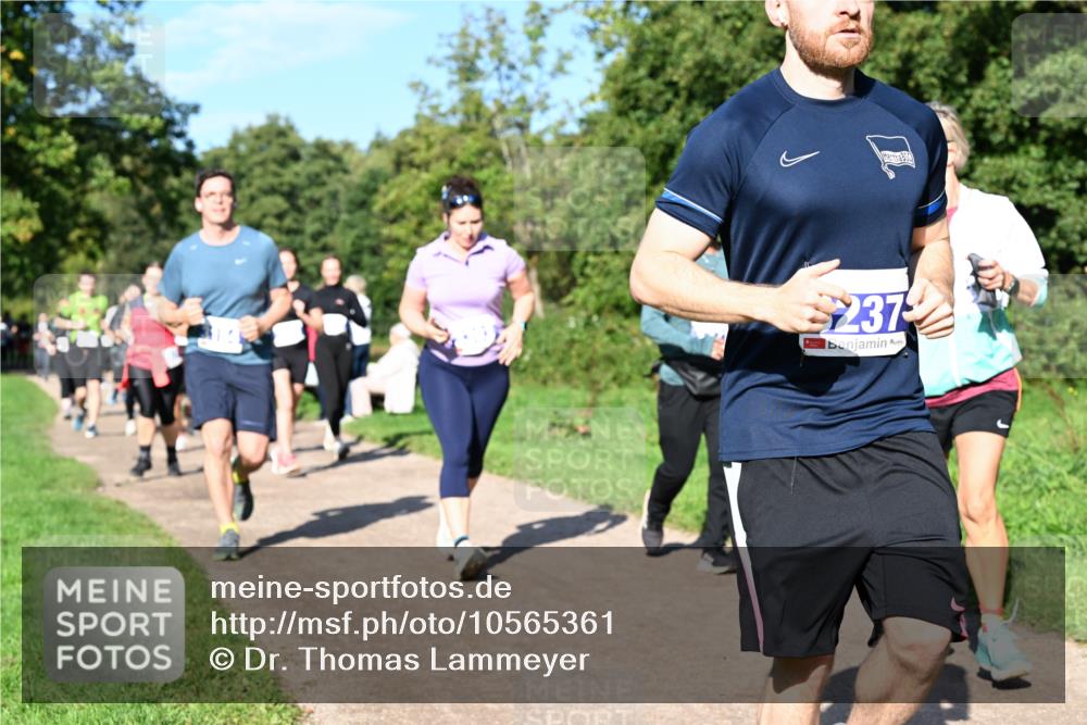 27.09.2026 - 35. Volkslauf durch das schöne Alstertal Dr. Thomas Lammeyer http://msf.ph/oto/10565361 27.09.2026 10:37:23 Laufen 237 meine-sportfotos.de