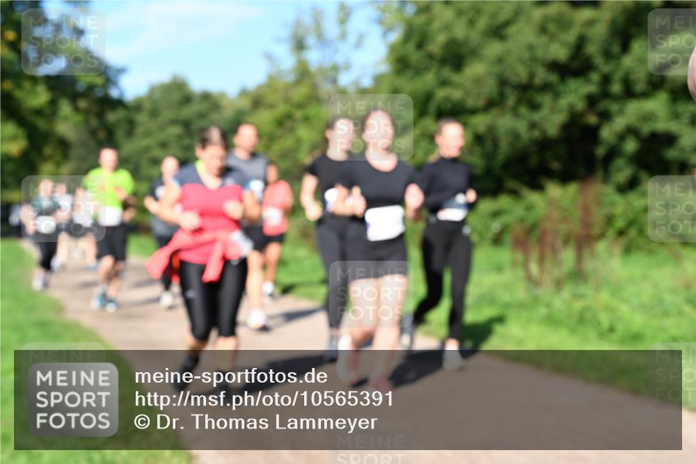 27.09.2026 - 35. Volkslauf durch das schöne Alstertal Dr. Thomas Lammeyer http://msf.ph/oto/10565391 27.09.2026 10:37:27 Laufen  meine-sportfotos.de