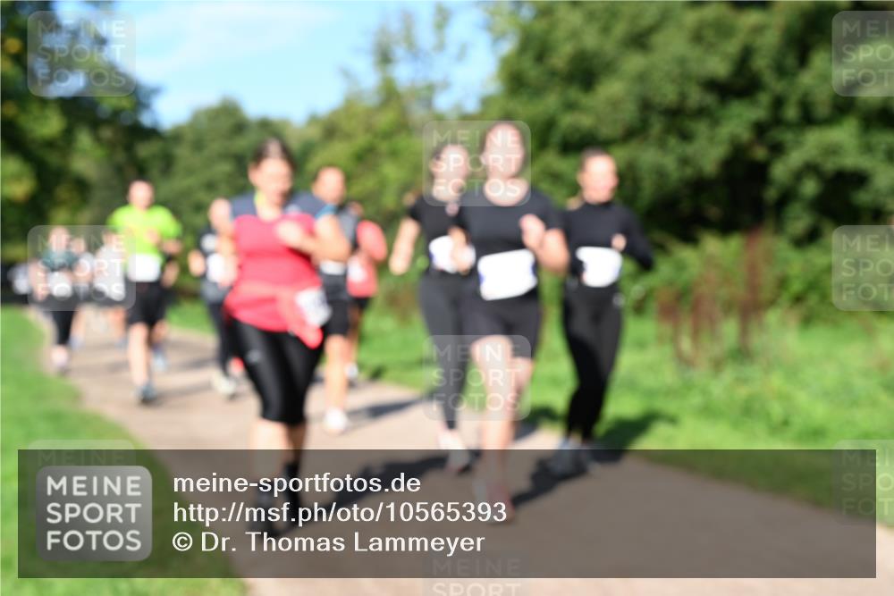 27.09.2026 - 35. Volkslauf durch das schöne Alstertal Dr. Thomas Lammeyer http://msf.ph/oto/10565393 27.09.2026 10:37:27 Laufen  meine-sportfotos.de