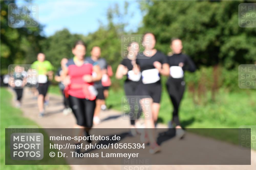 27.09.2026 - 35. Volkslauf durch das schöne Alstertal Dr. Thomas Lammeyer http://msf.ph/oto/10565394 27.09.2026 10:37:27 Laufen  meine-sportfotos.de