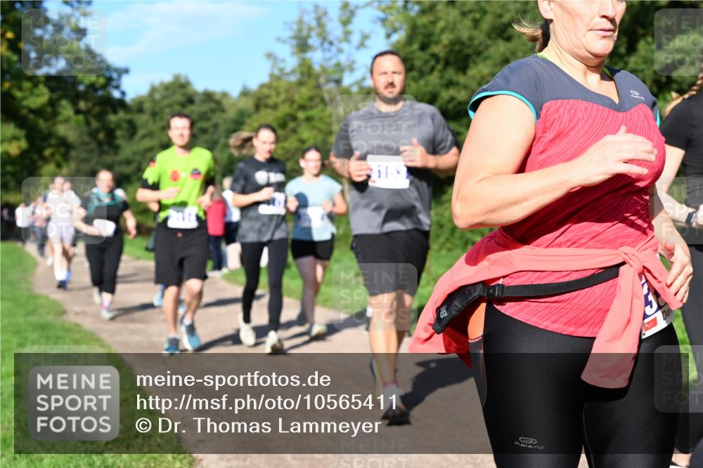 27.09.2026 - 35. Volkslauf durch das schöne Alstertal Dr. Thomas Lammeyer http://msf.ph/oto/10565411 27.09.2026 10:37:29 Laufen 61, 6 meine-sportfotos.de