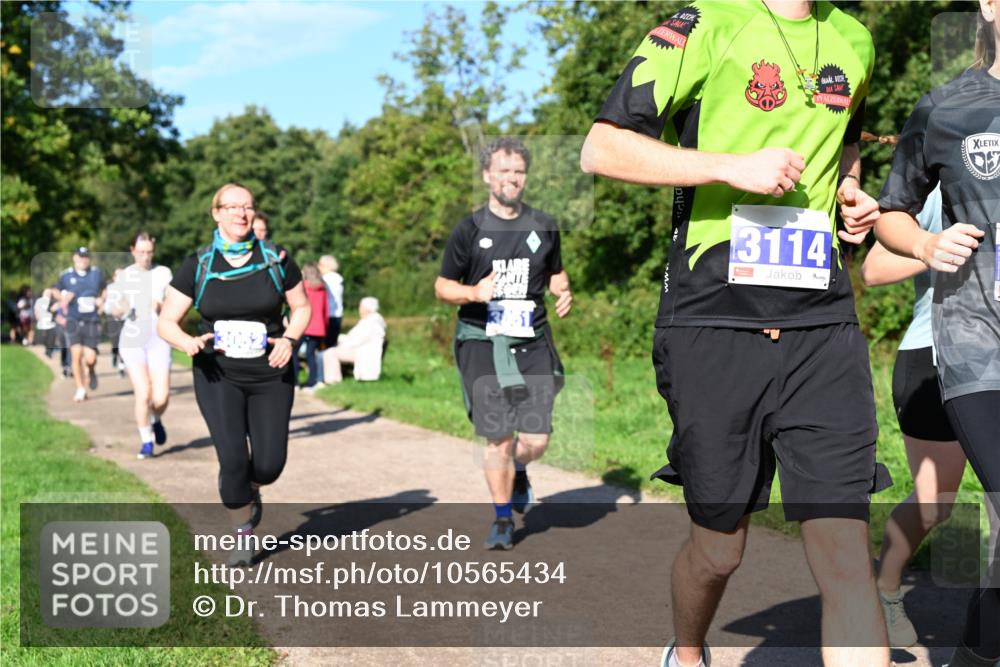 27.09.2026 - 35. Volkslauf durch das schöne Alstertal Dr. Thomas Lammeyer http://msf.ph/oto/10565434 27.09.2026 10:37:31 Laufen 3114 meine-sportfotos.de