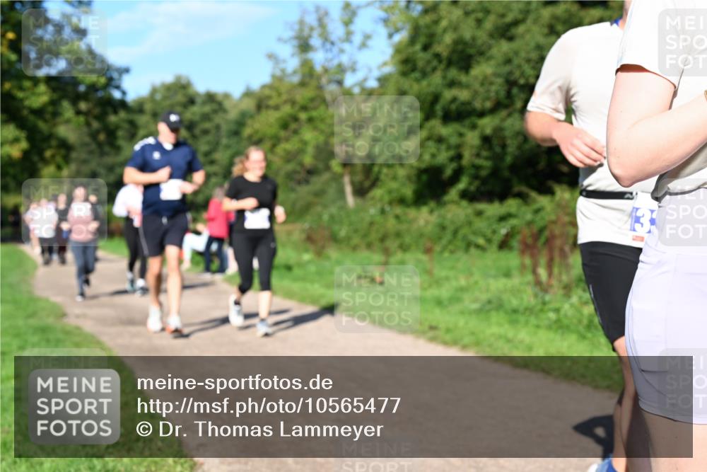 27.09.2026 - 35. Volkslauf durch das schöne Alstertal Dr. Thomas Lammeyer http://msf.ph/oto/10565477 27.09.2026 10:37:36 Laufen  meine-sportfotos.de
