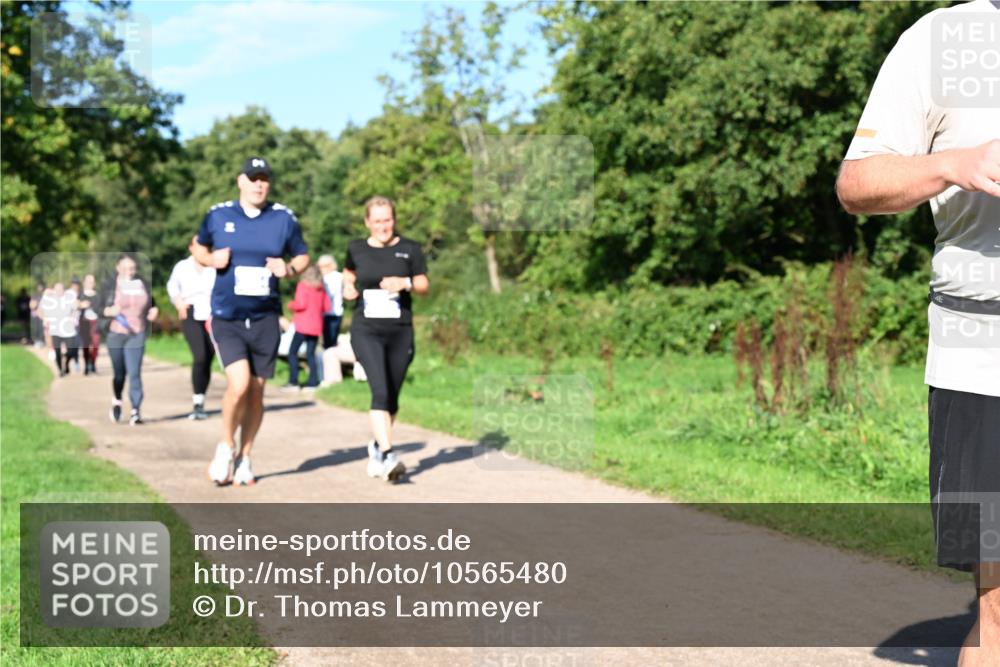 27.09.2026 - 35. Volkslauf durch das schöne Alstertal Dr. Thomas Lammeyer http://msf.ph/oto/10565480 27.09.2026 10:37:36 Laufen  meine-sportfotos.de