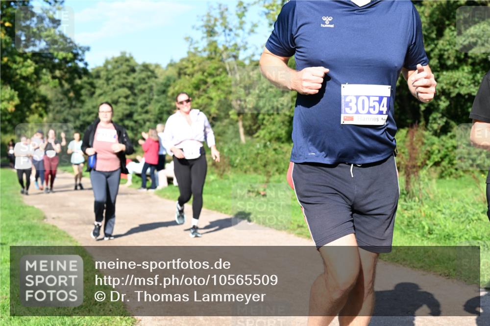 27.09.2026 - 35. Volkslauf durch das schöne Alstertal Dr. Thomas Lammeyer http://msf.ph/oto/10565509 27.09.2026 10:37:39 Laufen 3054 meine-sportfotos.de