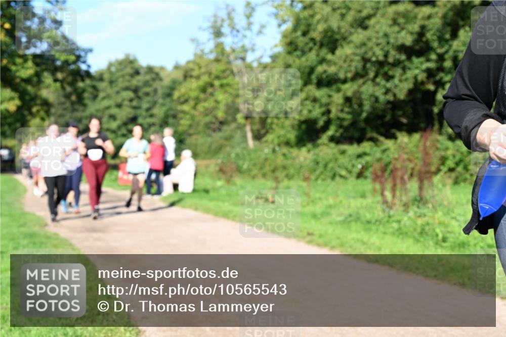 27.09.2026 - 35. Volkslauf durch das schöne Alstertal Dr. Thomas Lammeyer http://msf.ph/oto/10565543 27.09.2026 10:37:43 Laufen  meine-sportfotos.de