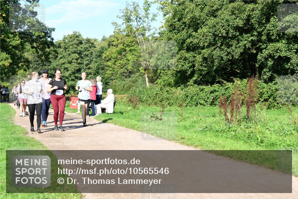 27.09.2026 - 35. Volkslauf durch das schöne Alstertal Dr. Thomas Lammeyer http://msf.ph/oto/10565546 27.09.2026 10:37:43 Laufen 3038 meine-sportfotos.de