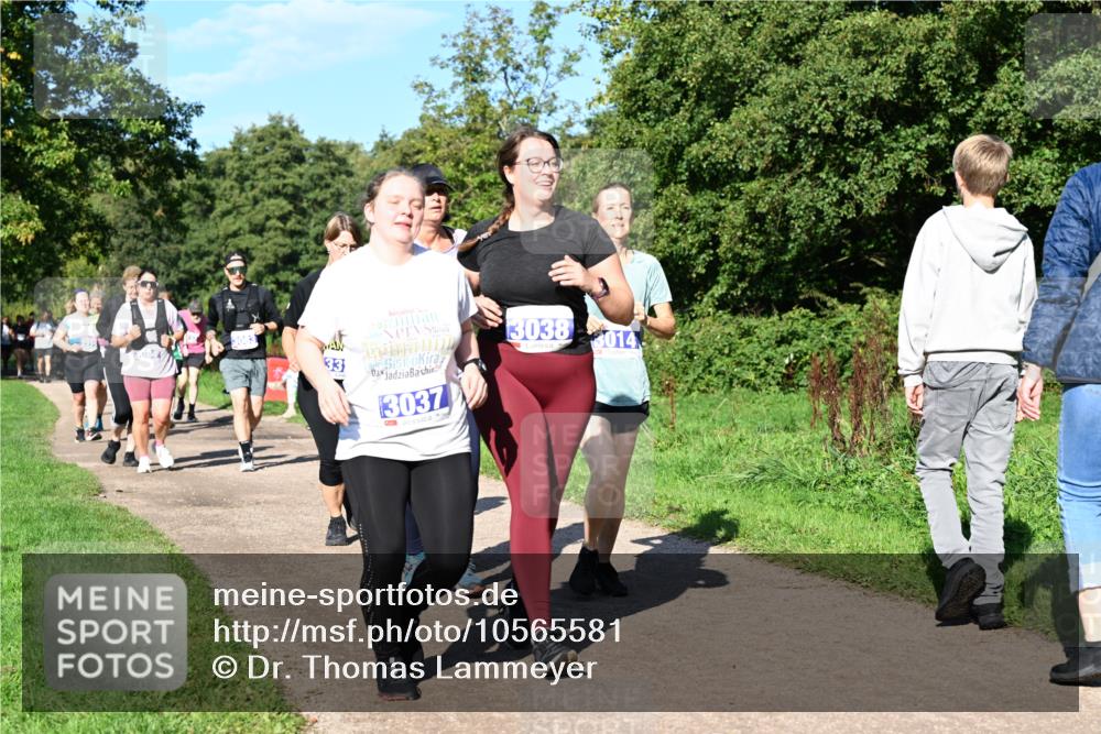 27.09.2026 - 35. Volkslauf durch das schöne Alstertal Dr. Thomas Lammeyer http://msf.ph/oto/10565581 27.09.2026 10:37:47 Laufen 3083, 33, 3037, 2, 3038, 014 meine-sportfotos.de