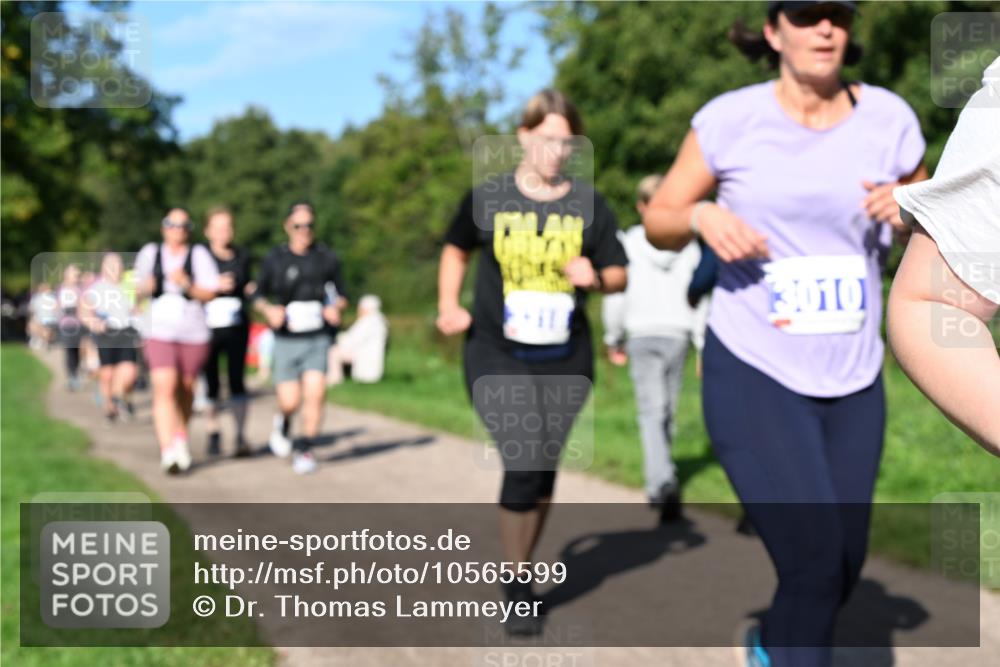 27.09.2026 - 35. Volkslauf durch das schöne Alstertal Dr. Thomas Lammeyer http://msf.ph/oto/10565599 27.09.2026 10:37:49 Laufen 3010 meine-sportfotos.de