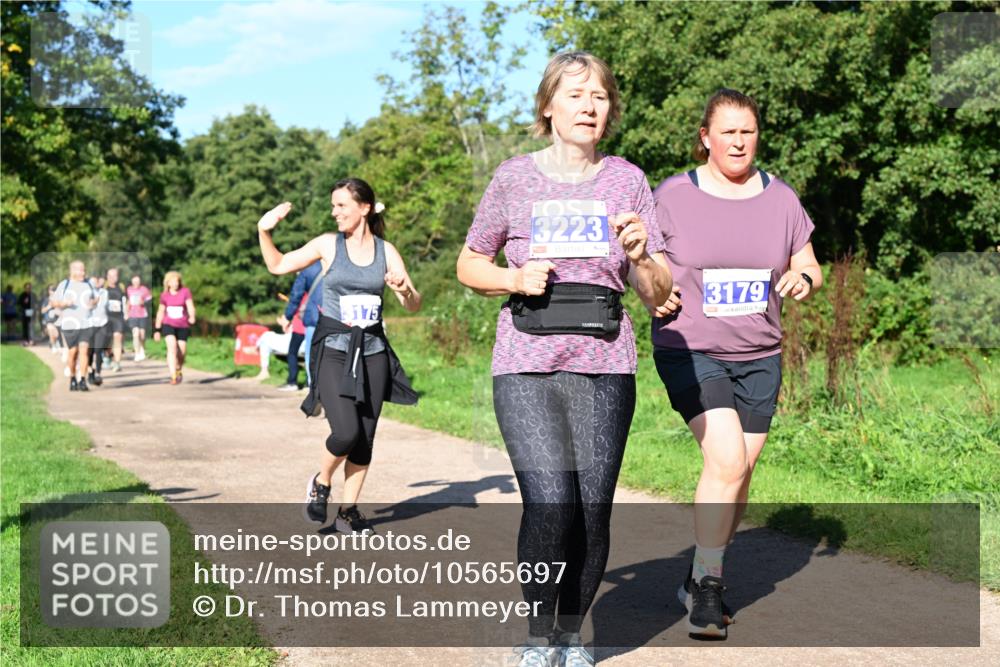 27.09.2026 - 35. Volkslauf durch das schöne Alstertal Dr. Thomas Lammeyer http://msf.ph/oto/10565697 27.09.2026 10:38:00 Laufen 3223, 3175, 3179 meine-sportfotos.de