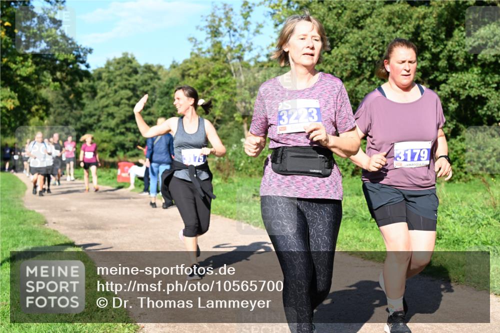 27.09.2026 - 35. Volkslauf durch das schöne Alstertal Dr. Thomas Lammeyer http://msf.ph/oto/10565700 27.09.2026 10:38:01 Laufen 3223, 75, 3179 meine-sportfotos.de