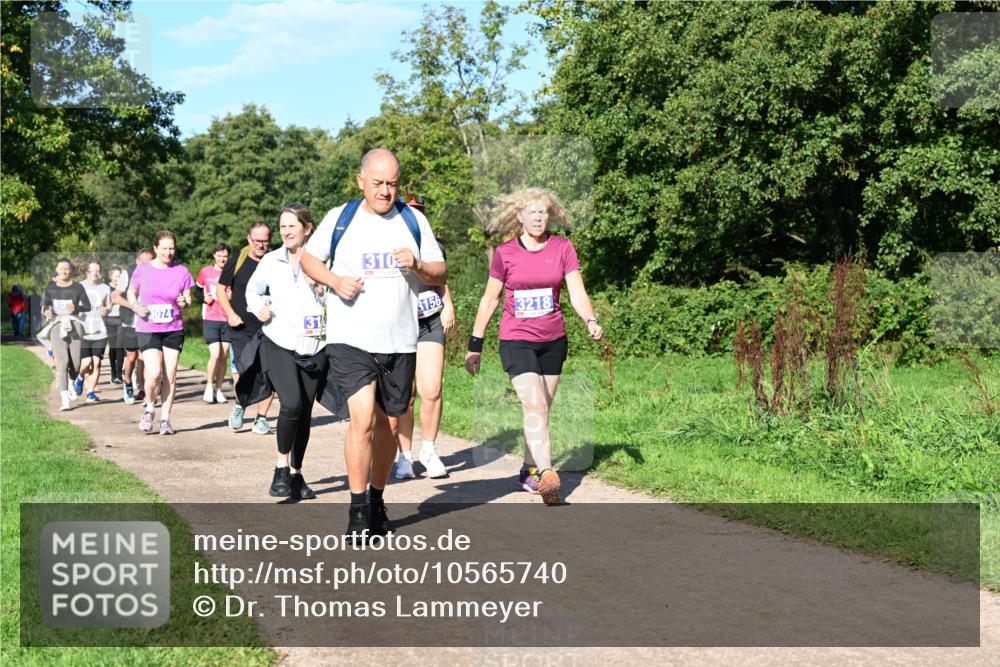 27.09.2026 - 35. Volkslauf durch das schöne Alstertal Dr. Thomas Lammeyer http://msf.ph/oto/10565740 27.09.2026 10:38:09 Laufen 3074, 310, 3156, 3218 meine-sportfotos.de