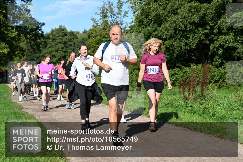 27.09.2026 - 35. Volkslauf durch das schöne Alstertal Dr. Thomas Lammeyer http://msf.ph/oto/10565749 27.09.2026 10:38:10 Laufen 3074, 310, 31, 3218 meine-sportfotos.de