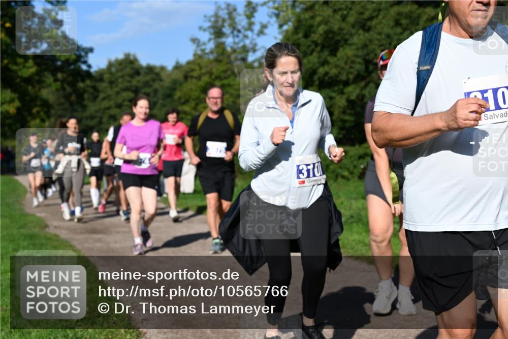 27.09.2026 - 35. Volkslauf durch das schöne Alstertal Dr. Thomas Lammeyer http://msf.ph/oto/10565766 27.09.2026 10:38:12 Laufen 310, 10 meine-sportfotos.de