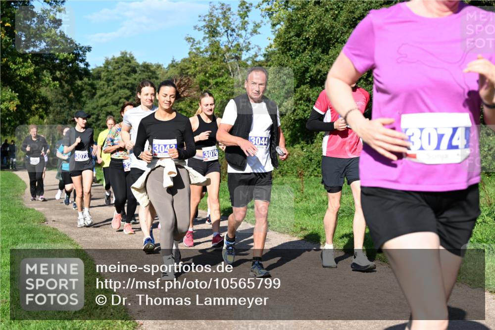 27.09.2026 - 35. Volkslauf durch das schöne Alstertal Dr. Thomas Lammeyer http://msf.ph/oto/10565799 27.09.2026 10:38:15 Laufen 3042, 3044, 3073, 3076, 3074 meine-sportfotos.de