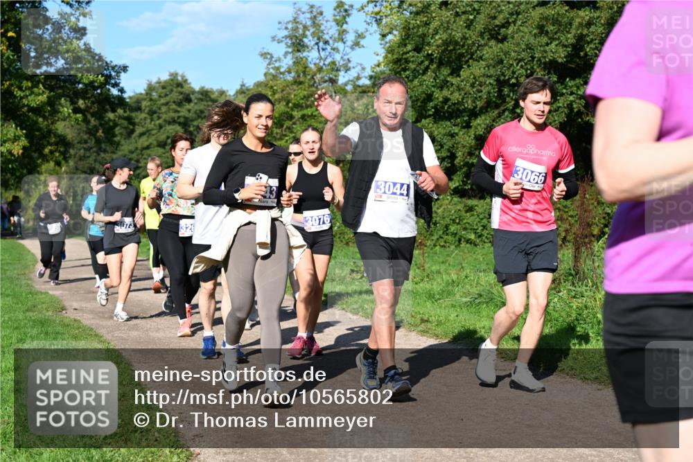 27.09.2026 - 35. Volkslauf durch das schöne Alstertal Dr. Thomas Lammeyer http://msf.ph/oto/10565802 27.09.2026 10:38:15 Laufen 326, 3076, 3044, 3066 meine-sportfotos.de