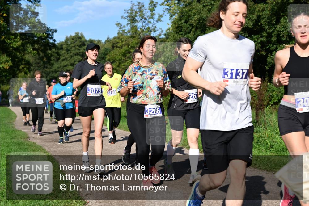 27.09.2026 - 35. Volkslauf durch das schöne Alstertal Dr. Thomas Lammeyer http://msf.ph/oto/10565824 27.09.2026 10:38:18 Laufen 3191, 3073, 3139, 3266, 26, 3137, 130 meine-sportfotos.de