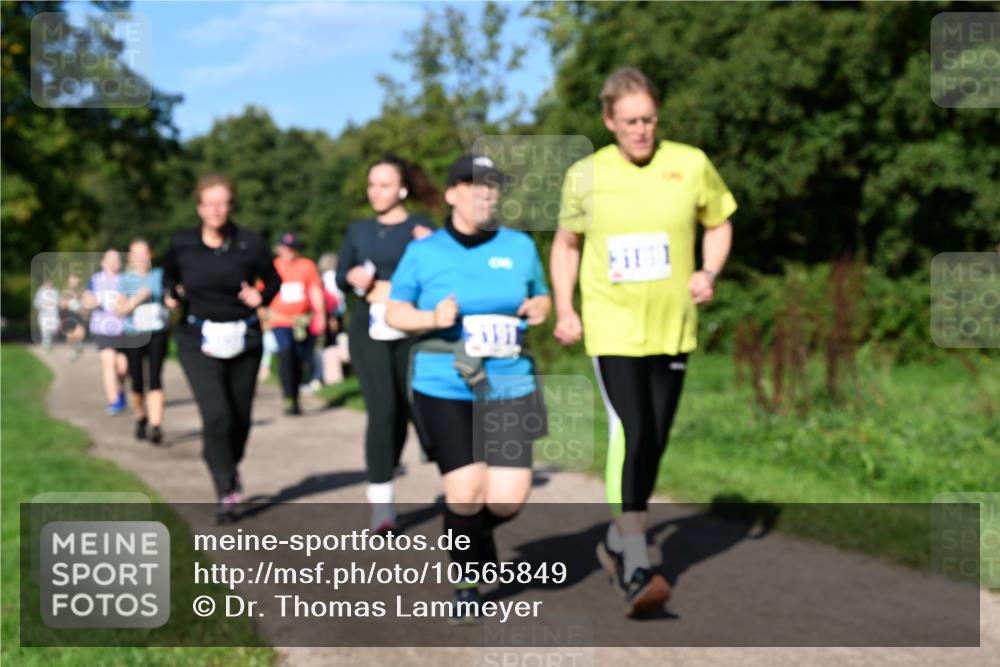 27.09.2026 - 35. Volkslauf durch das schöne Alstertal Dr. Thomas Lammeyer http://msf.ph/oto/10565849 27.09.2026 10:38:21 Laufen  meine-sportfotos.de