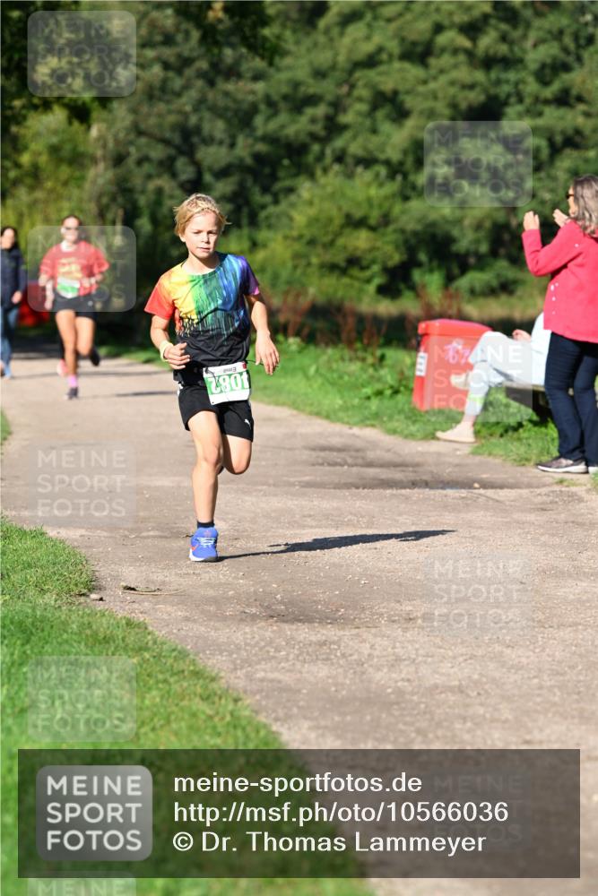 27.09.2026 - 35. Volkslauf durch das schöne Alstertal Dr. Thomas Lammeyer http://msf.ph/oto/10566036 27.09.2026 10:39:06 Laufen 4082 meine-sportfotos.de