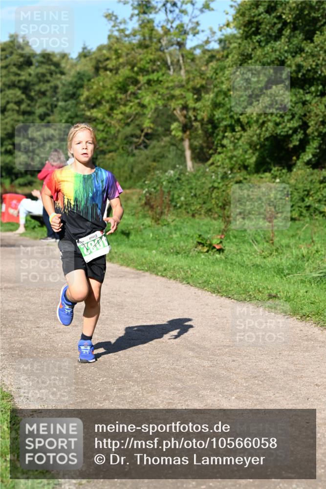 27.09.2026 - 35. Volkslauf durch das schöne Alstertal Dr. Thomas Lammeyer http://msf.ph/oto/10566058 27.09.2026 10:39:08 Laufen  meine-sportfotos.de