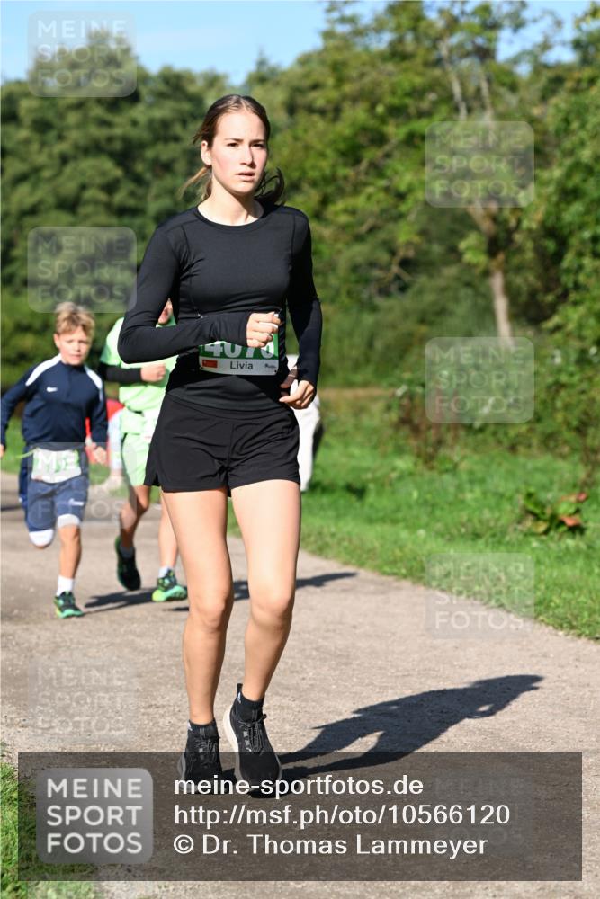27.09.2026 - 35. Volkslauf durch das schöne Alstertal Dr. Thomas Lammeyer http://msf.ph/oto/10566120 27.09.2026 10:39:19 Laufen  meine-sportfotos.de
