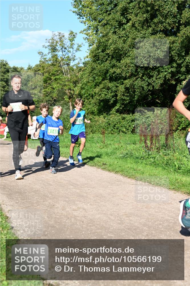 27.09.2026 - 35. Volkslauf durch das schöne Alstertal Dr. Thomas Lammeyer http://msf.ph/oto/10566199 27.09.2026 10:39:33 Laufen 4145 meine-sportfotos.de