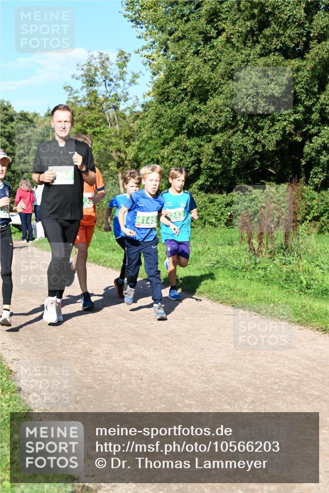 27.09.2026 - 35. Volkslauf durch das schöne Alstertal Dr. Thomas Lammeyer http://msf.ph/oto/10566203 27.09.2026 10:39:33 Laufen 064, 4145, 4243 meine-sportfotos.de