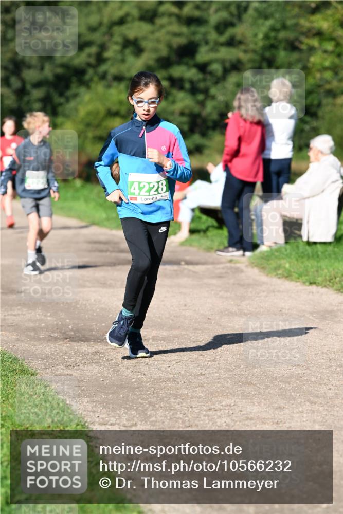 27.09.2026 - 35. Volkslauf durch das schöne Alstertal Dr. Thomas Lammeyer http://msf.ph/oto/10566232 27.09.2026 10:39:41 Laufen 4228 meine-sportfotos.de
