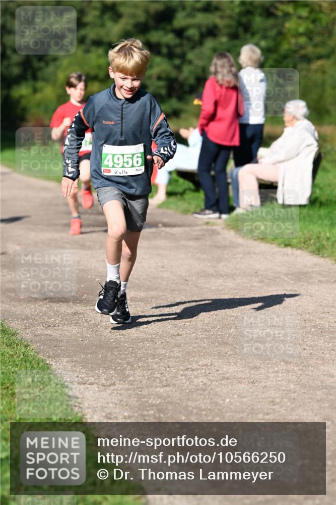 27.09.2026 - 35. Volkslauf durch das schöne Alstertal Dr. Thomas Lammeyer http://msf.ph/oto/10566250 27.09.2026 10:39:44 Laufen 4956 meine-sportfotos.de