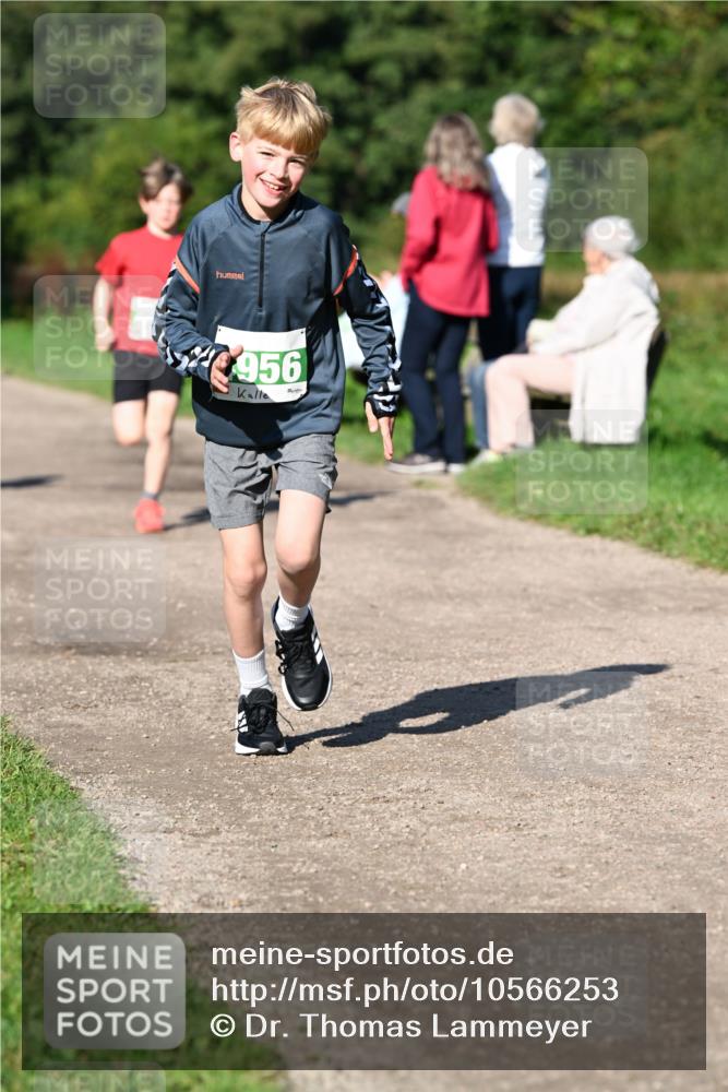 27.09.2026 - 35. Volkslauf durch das schöne Alstertal Dr. Thomas Lammeyer http://msf.ph/oto/10566253 27.09.2026 10:39:44 Laufen 956 meine-sportfotos.de