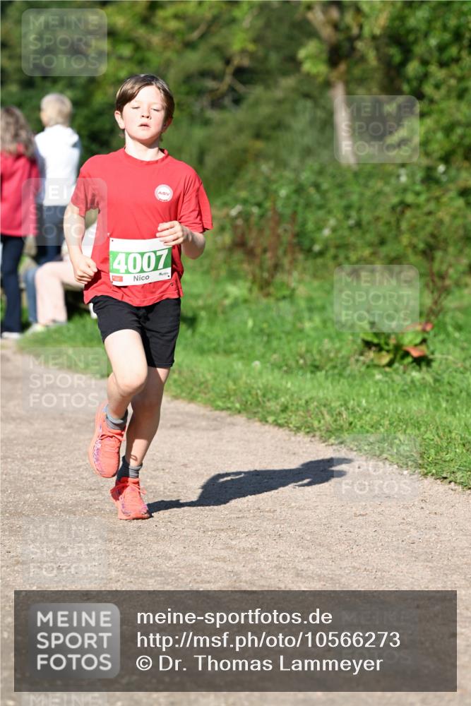 27.09.2026 - 35. Volkslauf durch das schöne Alstertal Dr. Thomas Lammeyer http://msf.ph/oto/10566273 27.09.2026 10:39:47 Laufen 4007 meine-sportfotos.de