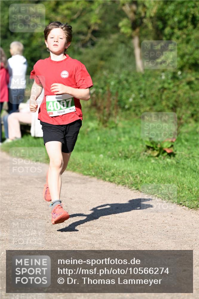 27.09.2026 - 35. Volkslauf durch das schöne Alstertal Dr. Thomas Lammeyer http://msf.ph/oto/10566274 27.09.2026 10:39:47 Laufen 4007 meine-sportfotos.de