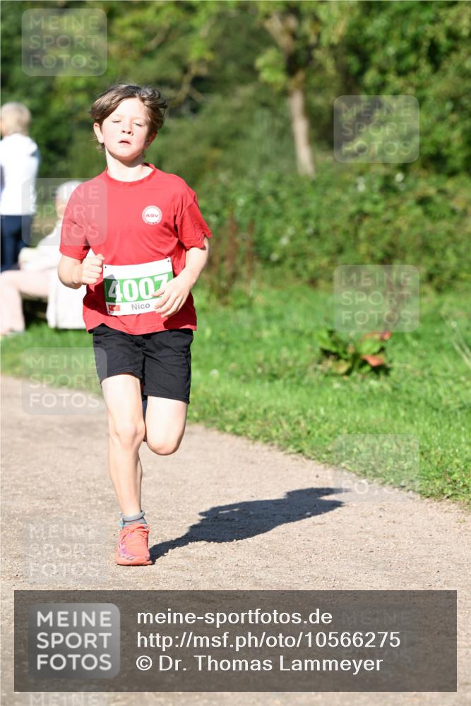 27.09.2026 - 35. Volkslauf durch das schöne Alstertal Dr. Thomas Lammeyer http://msf.ph/oto/10566275 27.09.2026 10:39:47 Laufen 4003 meine-sportfotos.de