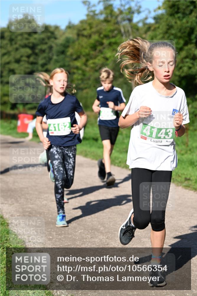 27.09.2026 - 35. Volkslauf durch das schöne Alstertal Dr. Thomas Lammeyer http://msf.ph/oto/10566354 27.09.2026 10:40:00 Laufen 4162, 4143 meine-sportfotos.de