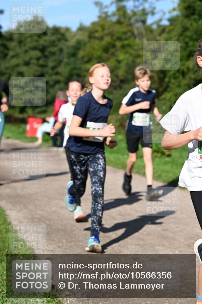 27.09.2026 - 35. Volkslauf durch das schöne Alstertal Dr. Thomas Lammeyer http://msf.ph/oto/10566356 27.09.2026 10:40:00 Laufen  meine-sportfotos.de
