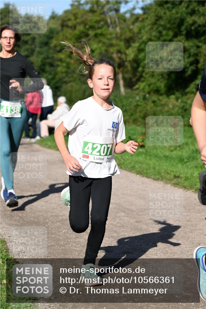 27.09.2026 - 35. Volkslauf durch das schöne Alstertal Dr. Thomas Lammeyer http://msf.ph/oto/10566361 27.09.2026 10:40:01 Laufen 4138, 4207 meine-sportfotos.de