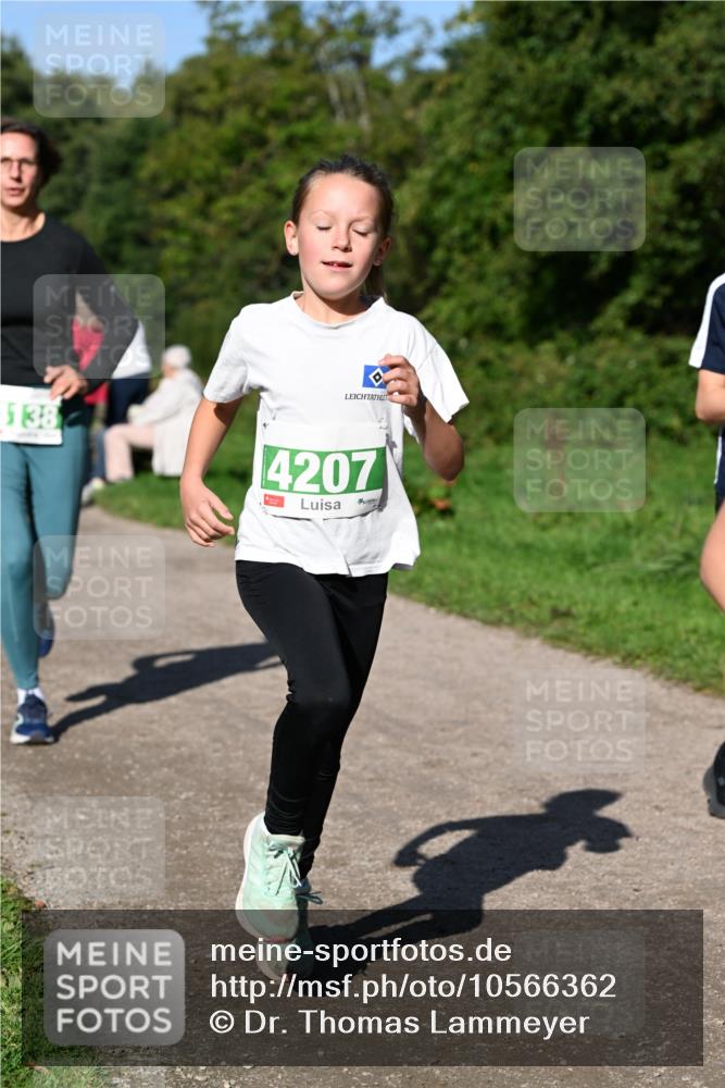 27.09.2026 - 35. Volkslauf durch das schöne Alstertal Dr. Thomas Lammeyer http://msf.ph/oto/10566362 27.09.2026 10:40:01 Laufen 4138, 4207 meine-sportfotos.de