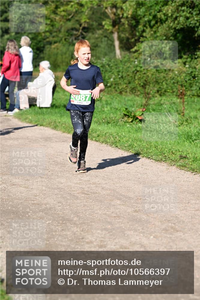 27.09.2026 - 35. Volkslauf durch das schöne Alstertal Dr. Thomas Lammeyer http://msf.ph/oto/10566397 27.09.2026 10:40:07 Laufen 87 meine-sportfotos.de