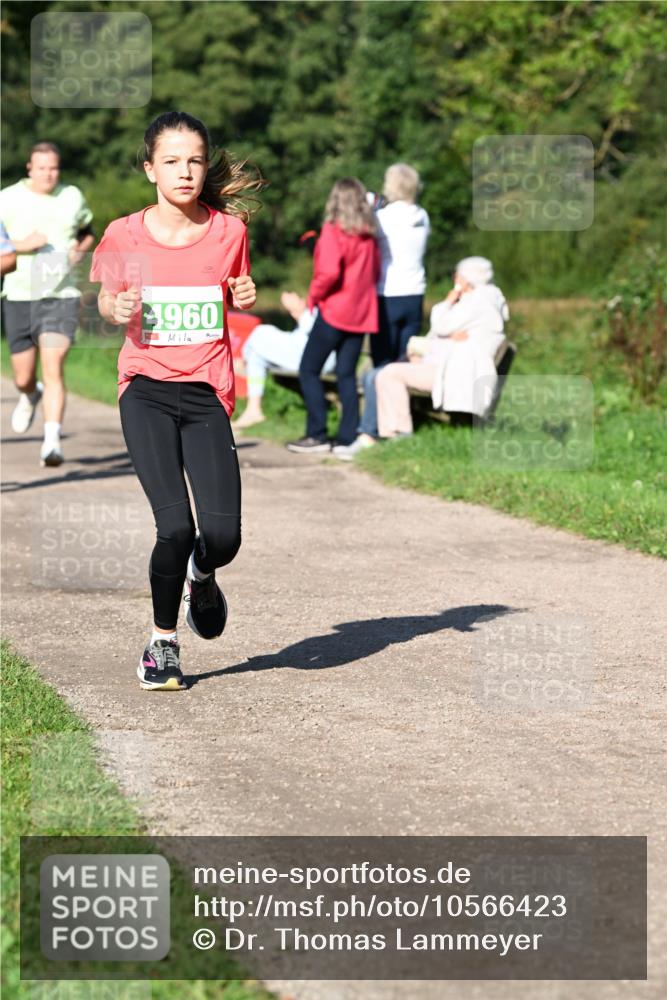 27.09.2026 - 35. Volkslauf durch das schöne Alstertal Dr. Thomas Lammeyer http://msf.ph/oto/10566423 27.09.2026 10:40:12 Laufen 1960 meine-sportfotos.de
