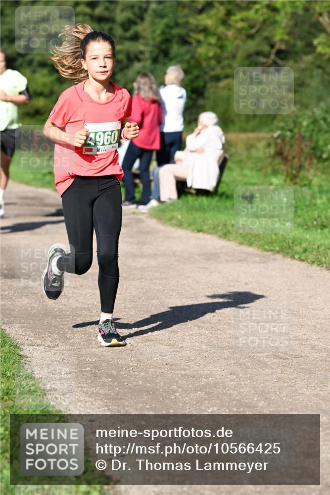 27.09.2026 - 35. Volkslauf durch das schöne Alstertal Dr. Thomas Lammeyer http://msf.ph/oto/10566425 27.09.2026 10:40:12 Laufen 4960 meine-sportfotos.de