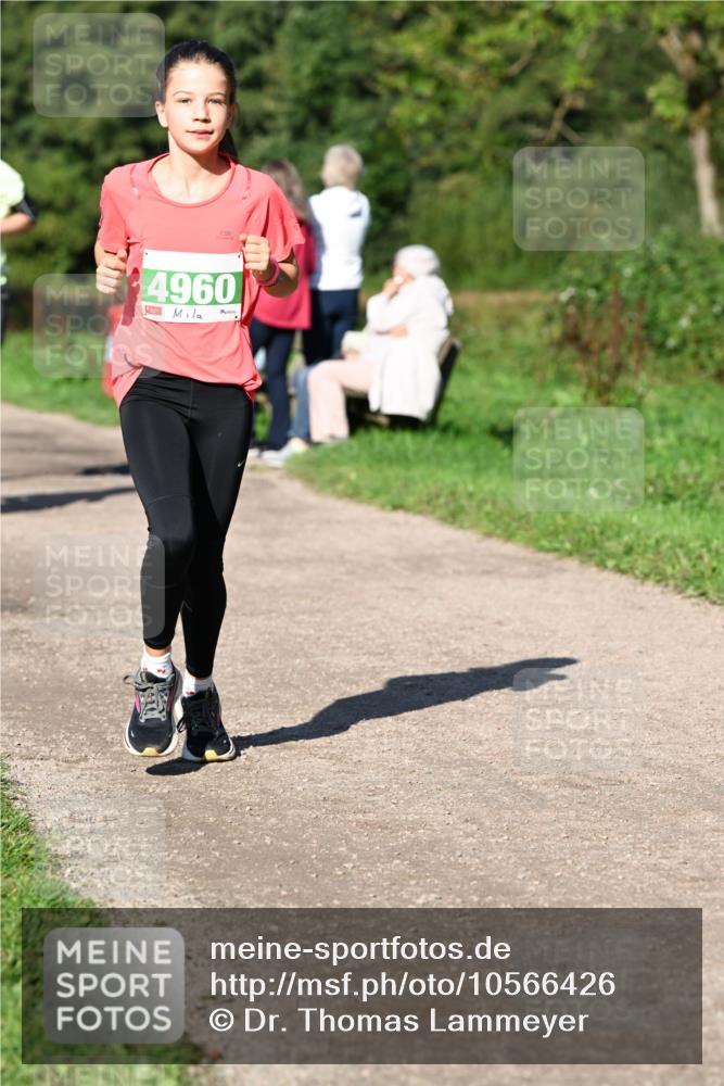 27.09.2026 - 35. Volkslauf durch das schöne Alstertal Dr. Thomas Lammeyer http://msf.ph/oto/10566426 27.09.2026 10:40:12 Laufen 4960 meine-sportfotos.de