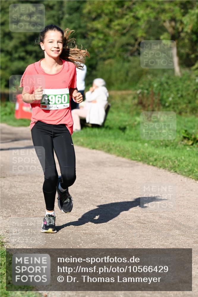 27.09.2026 - 35. Volkslauf durch das schöne Alstertal Dr. Thomas Lammeyer http://msf.ph/oto/10566429 27.09.2026 10:40:13 Laufen 4960 meine-sportfotos.de